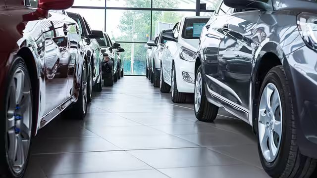 Vehicle Protection